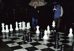 Шахматы под дождем