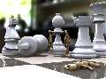 Люди и шахматы